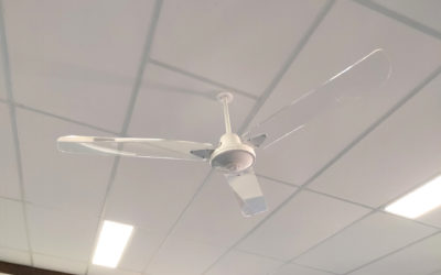 Janissen Electrics Beechboro Primary School